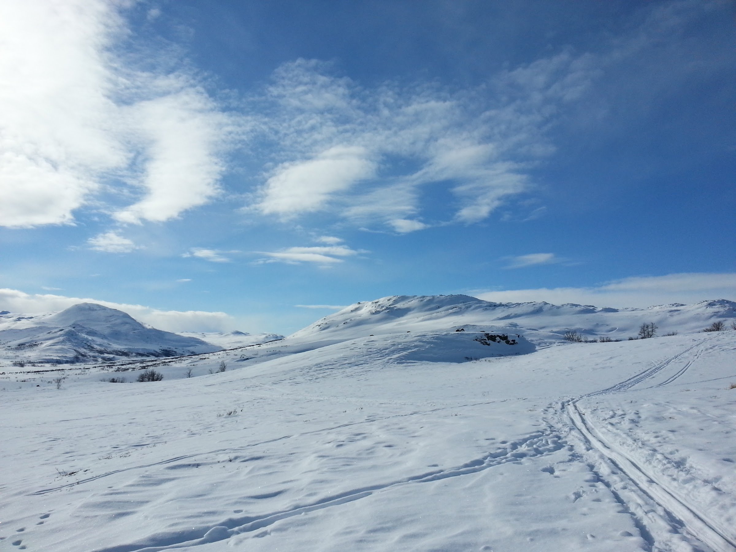Forollhogna nasjonalpark